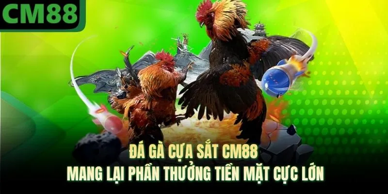 Đá Gà Cựa Sắt CM88 Mang Lại Phần Thưởng Tiền Mặt Cực Lớn