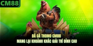 Đá Gà Thomo CM88 Mang Lại Khoảnh Khắc Giải Trí Đỉnh Cao