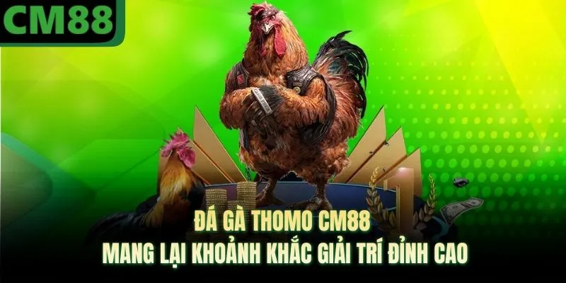 Đá Gà Thomo CM88 Mang Lại Khoảnh Khắc Giải Trí Đỉnh Cao
