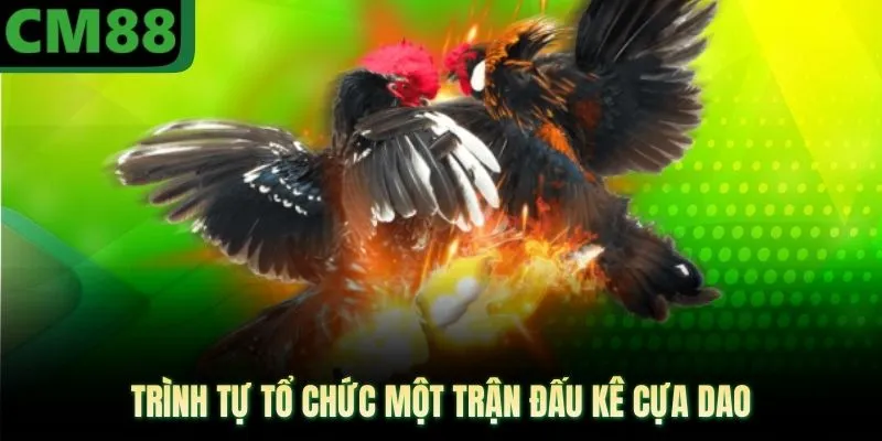 Trình tự tổ chức một trận đấu kê cựa dao